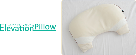 Elevation Pillow